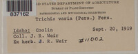 Image Associated With the Occurence